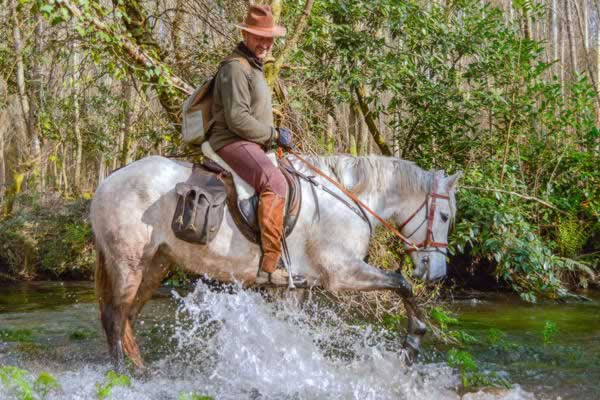 El caballo de viaje